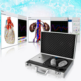 Clinical Metatron NLS Biofeedback Health Analyzer High Precision With OEM