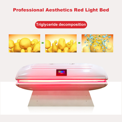 Photodynamic PDT Red Light Collagen Bed For Body Sculpting
