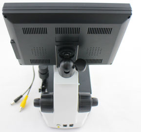 Professional Microcirculation Microscope / Nailfold Capillary Microscopy with CCD Video Camera